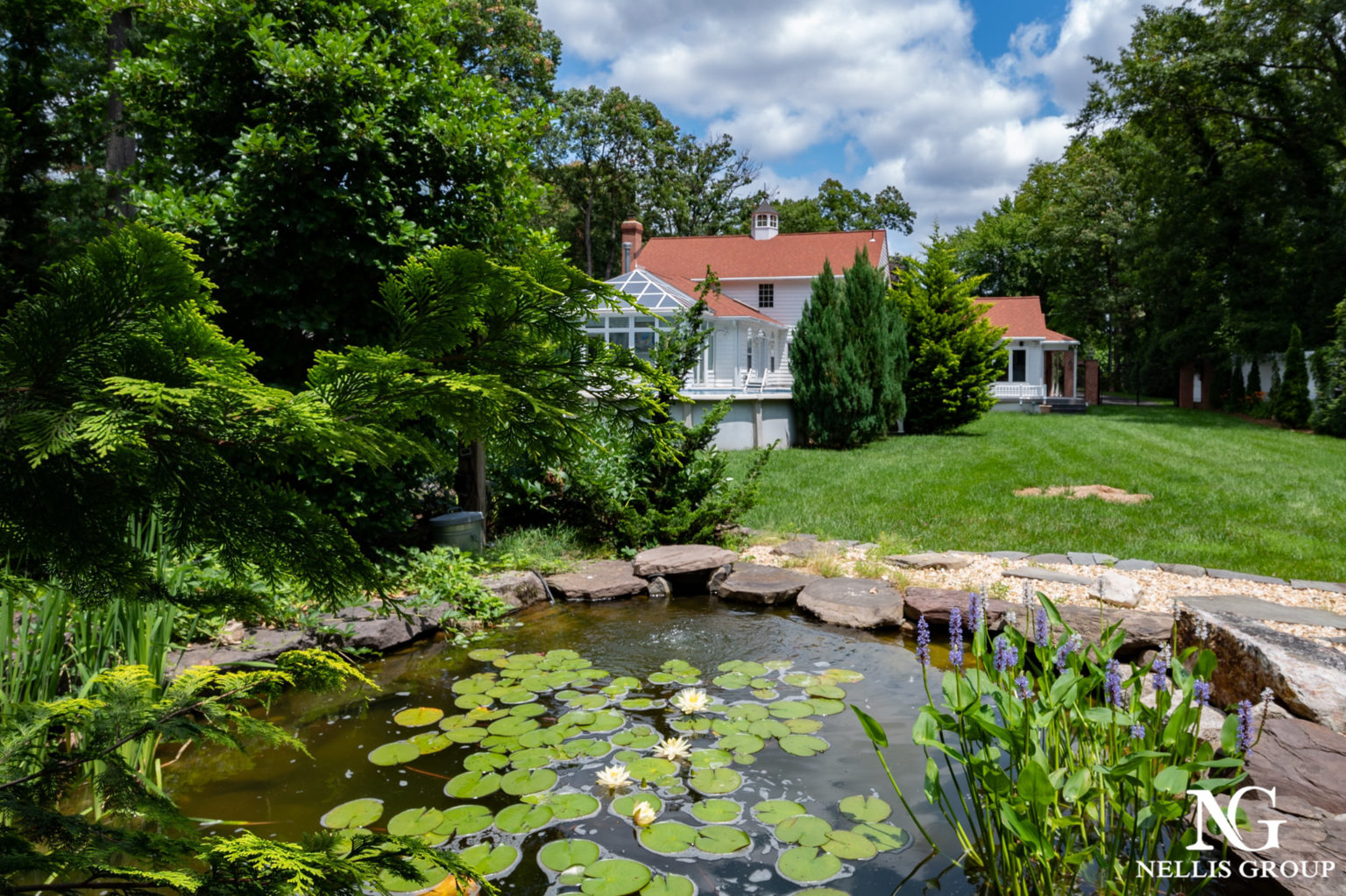 EXPLORE CHESSIE'S BIG BACKYARD; FUN AND GAMES FOR ALL AGES IN