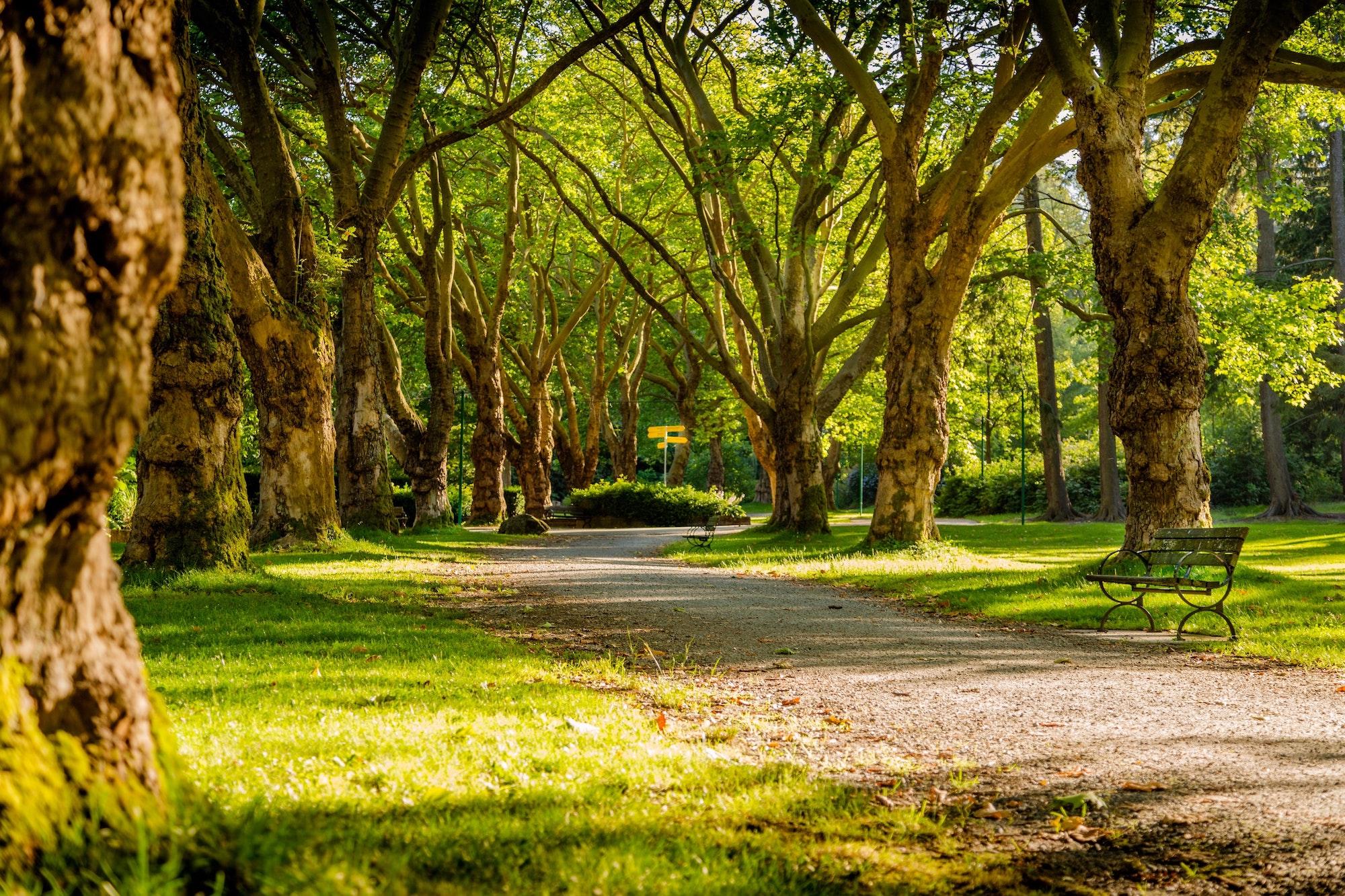 Exploring Old Mill Park In Fredericksburg Virginia The Nellis Group Blog   Park 